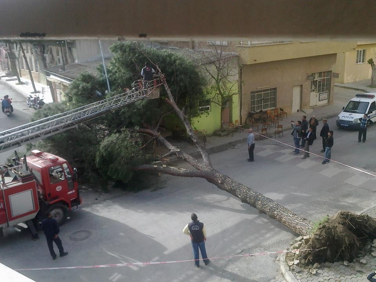 Nazilli\'de Facia Ucuz Atlatıldı