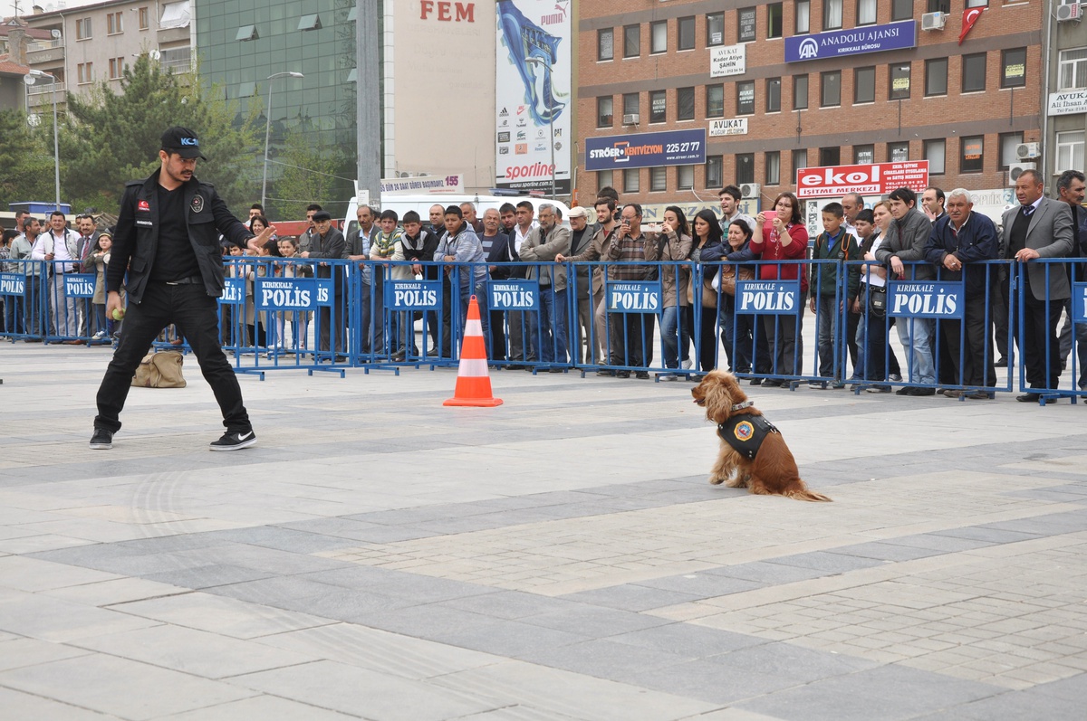 Polis Köpeklerinin Gösterisi Nefes Kesti