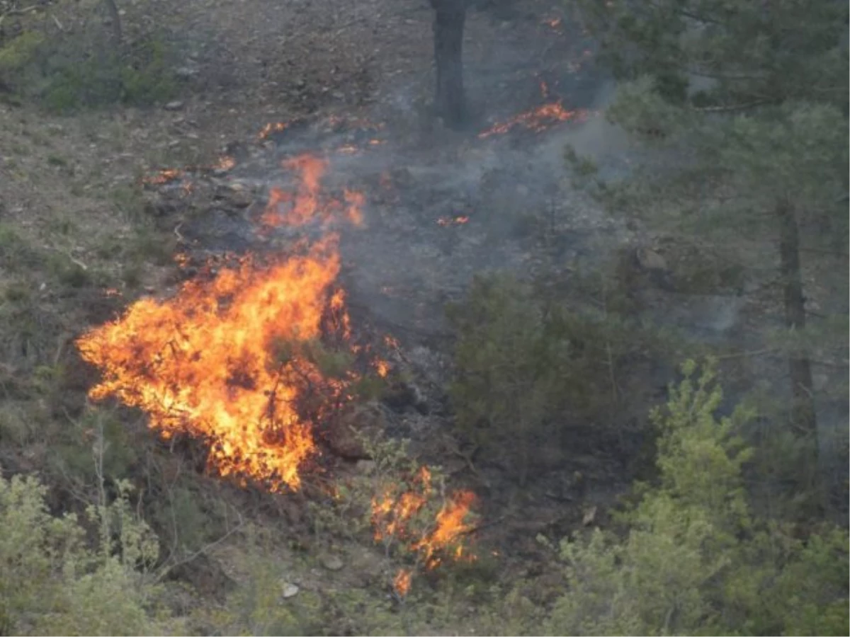 Sivas\'ta Orman Yangını