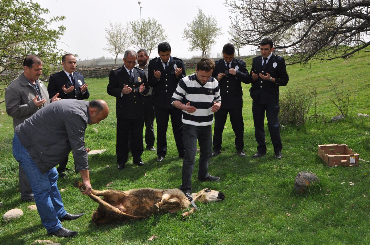 Suşehri Emniyet Müdürlüğü Kurban Kesti