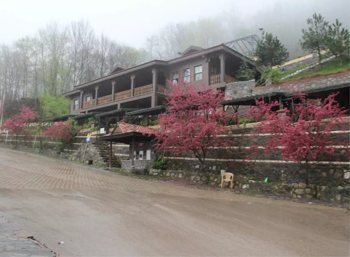 Saitabat'a Konaklama Merkezleri Yapılacak