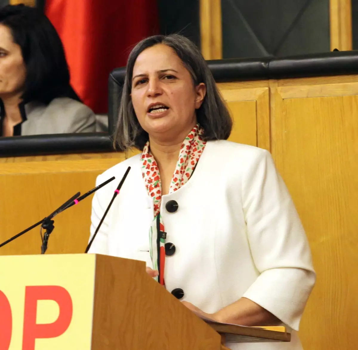 BDP Meclis Grup Toplantısı (2)