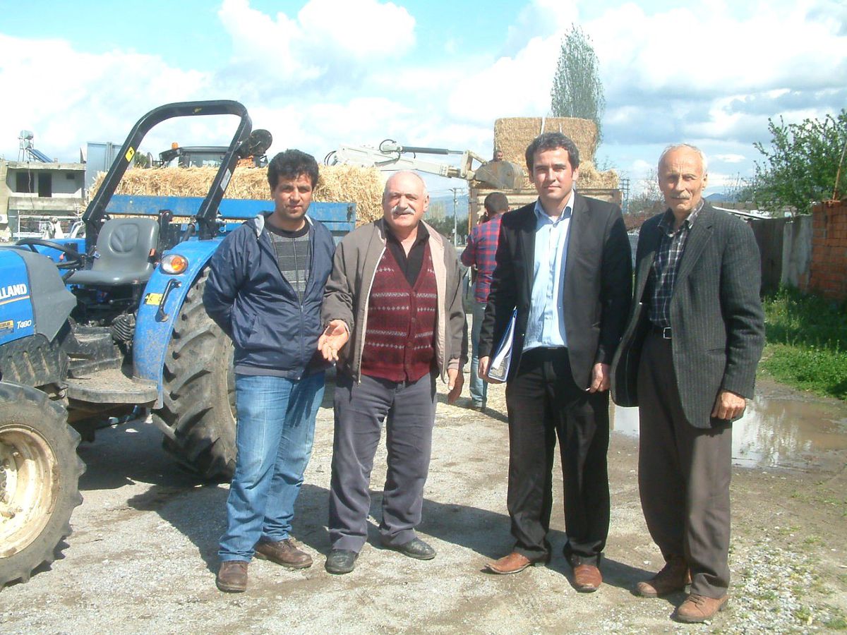 Burhaniye\'de Besicilere İthal Ucuz Saman Dağıtıldı