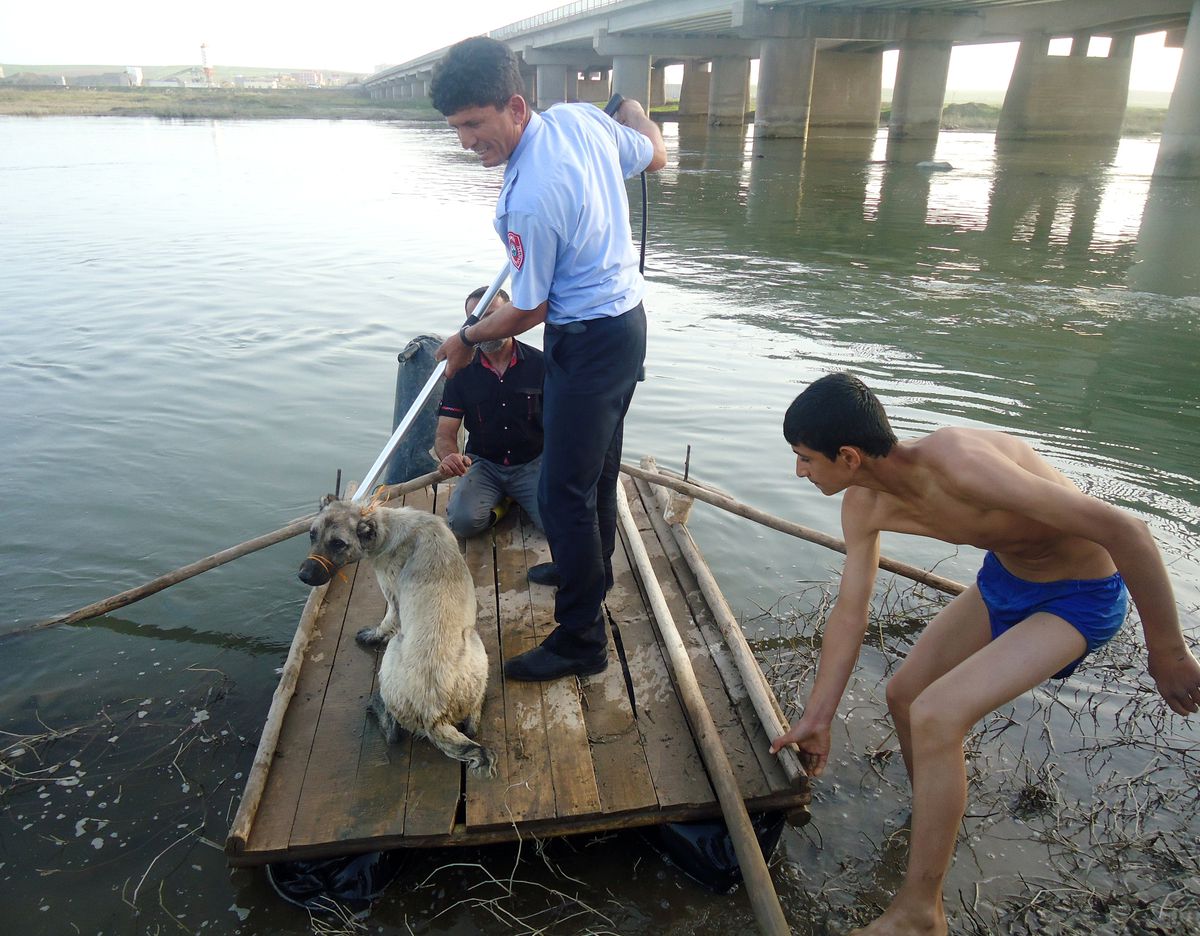 Dicle Nehri\'nde Mahsur Kalan Köpeği İtfaye Kurtardı