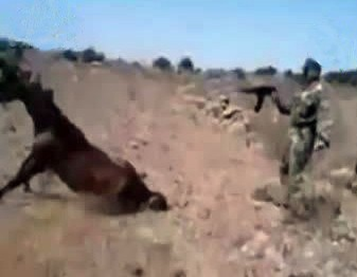 Esad Askerleri Hayvanları Kurşuna Dizdi