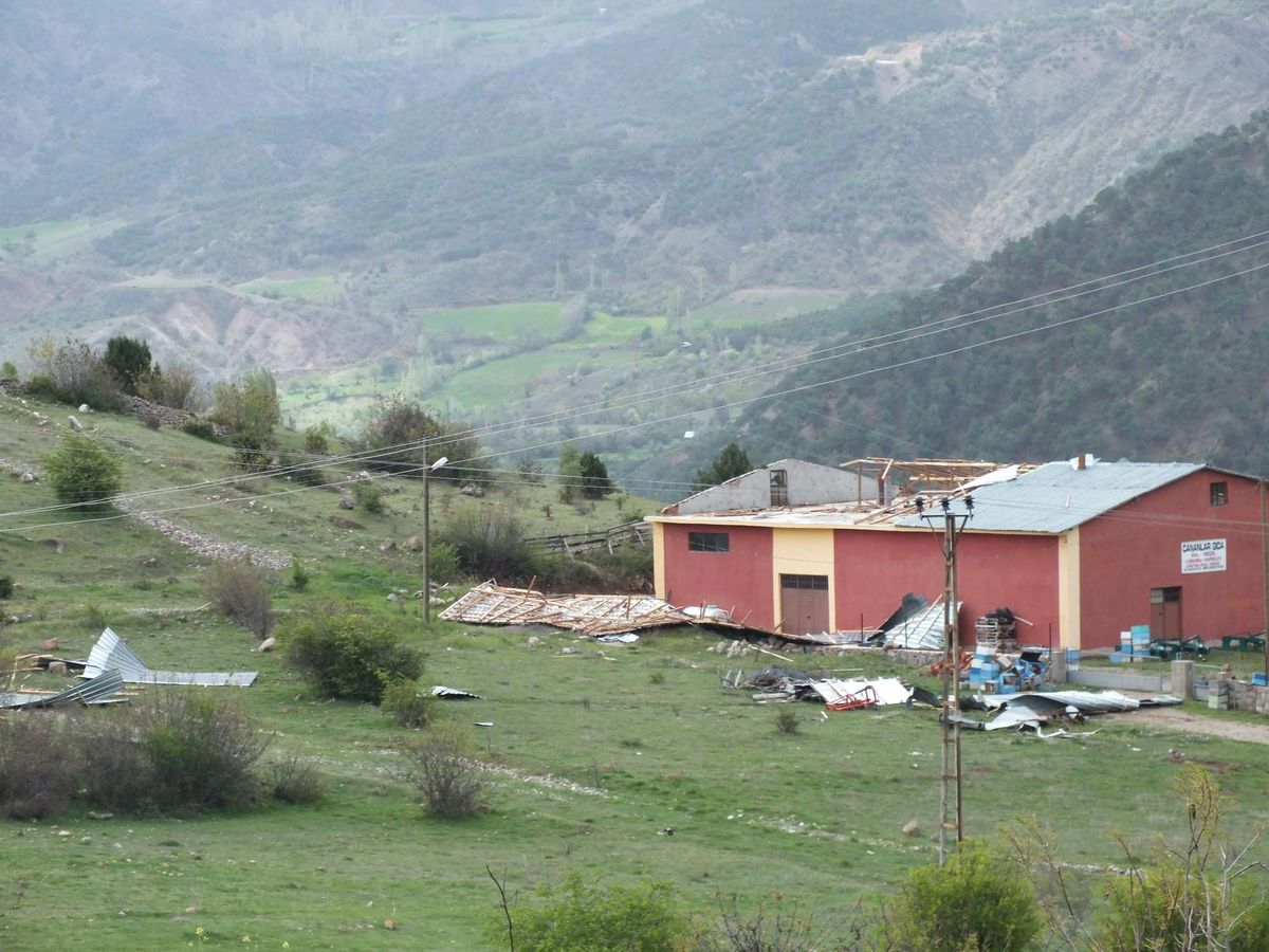 Koyulhisar\'da Rüzgar Etkili Oldu