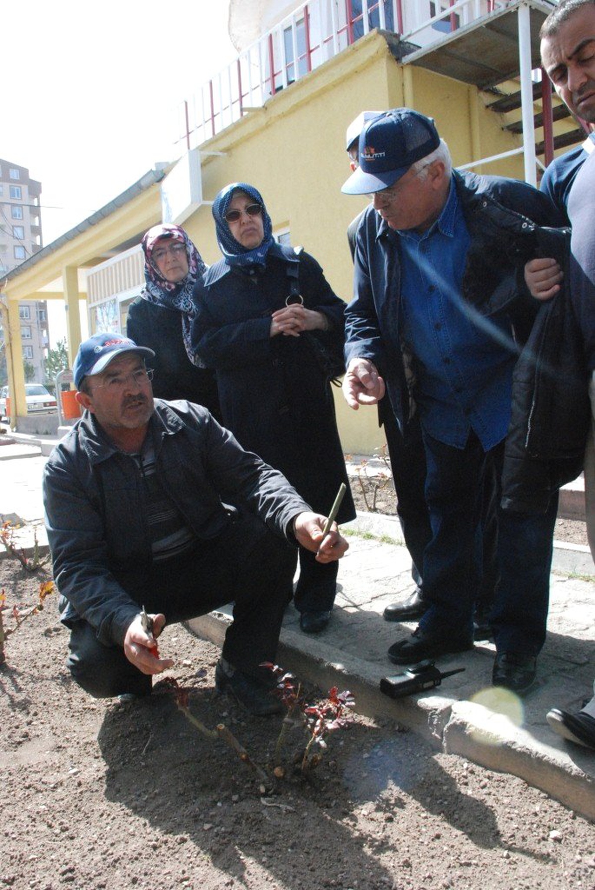 Melikgazi Belediyesi\'nden Fidan Dikimi, Aşı, Budama, İlaçlama, Fidancılık, Bahçe ve Saksı...