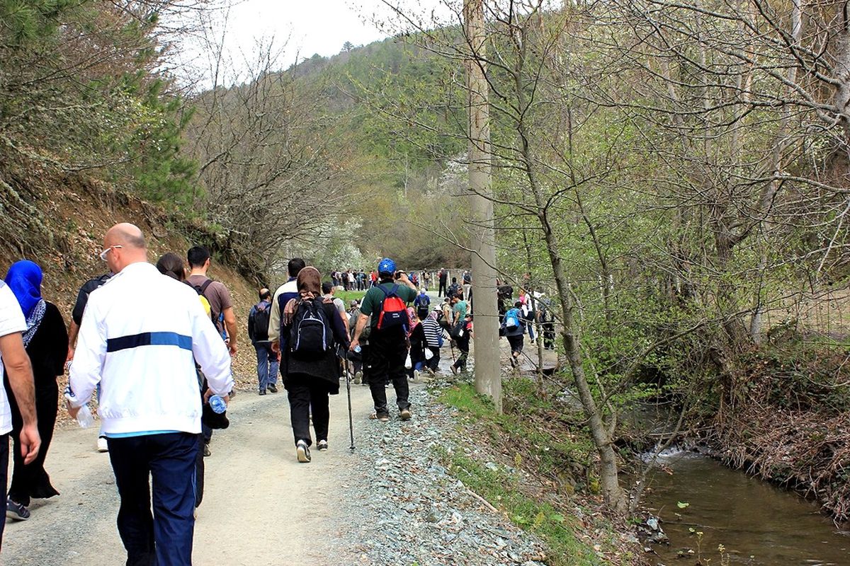 Sakarya\'da Doğa Yürüyüşleri Devam Ediyor