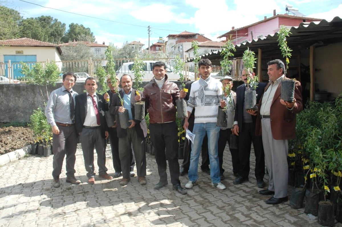 Selendi\'de 3 Bin Adet Badem Fidanı Dağıtıldı