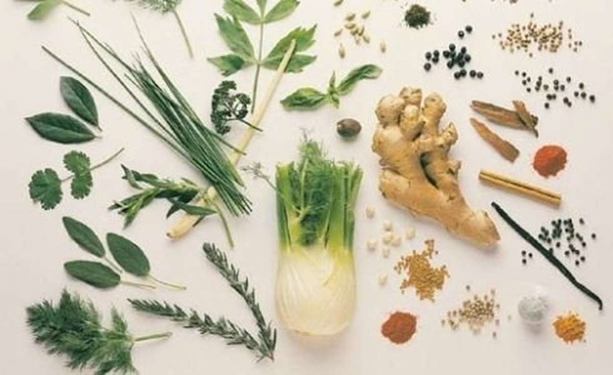 Tıbbi Aromatik Bitkiler Kursuna Yoğun İlgi