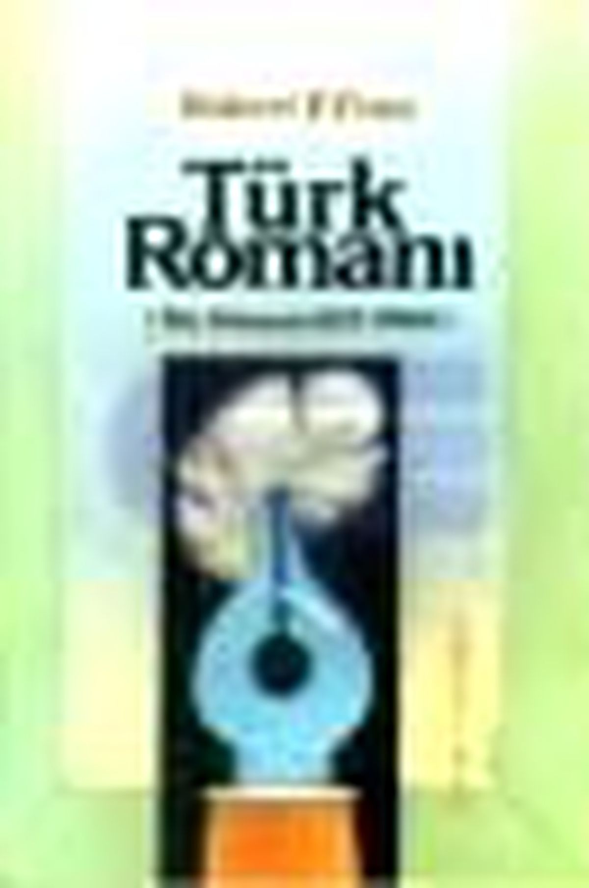 Türk Romanı (İlk Dönem 1872-1900) Kitabı