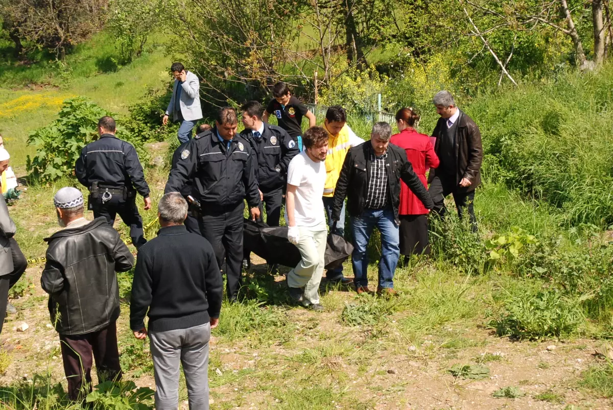 Ecel Bahçede Pazı Toplarken Yakaladı