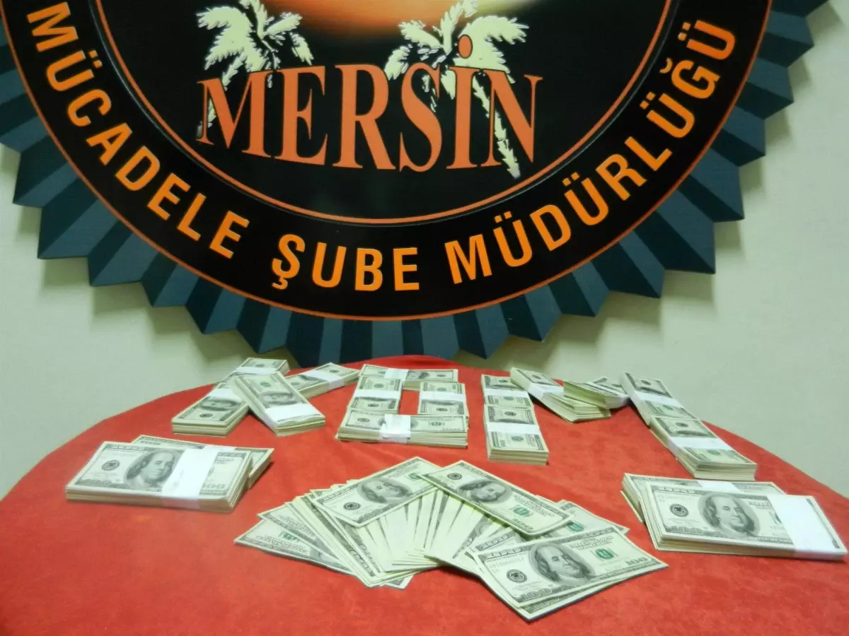 Mersin\'de Sahte Dolar Operasyonu