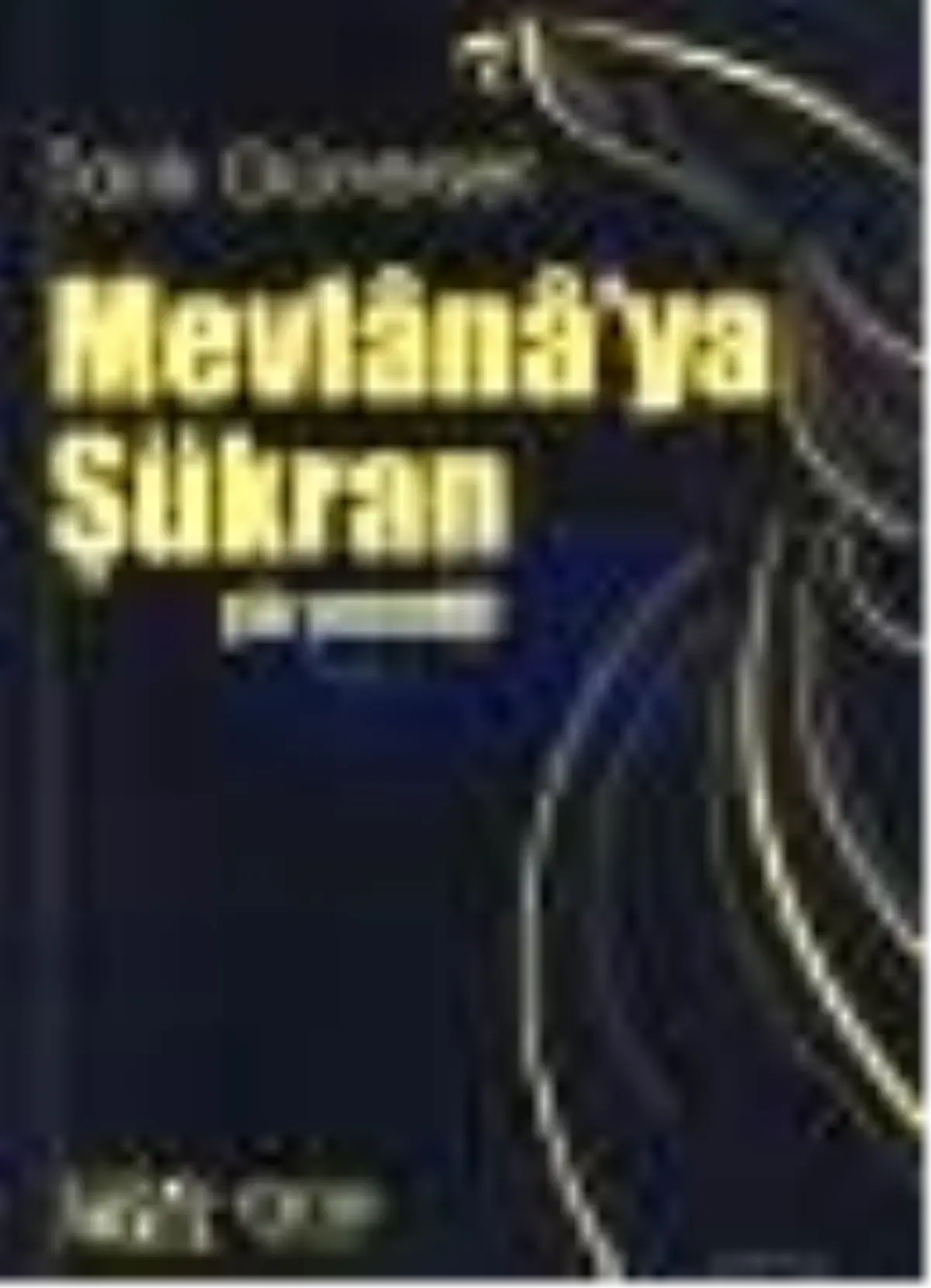 Mevlana\'ya Şükran Kitabı