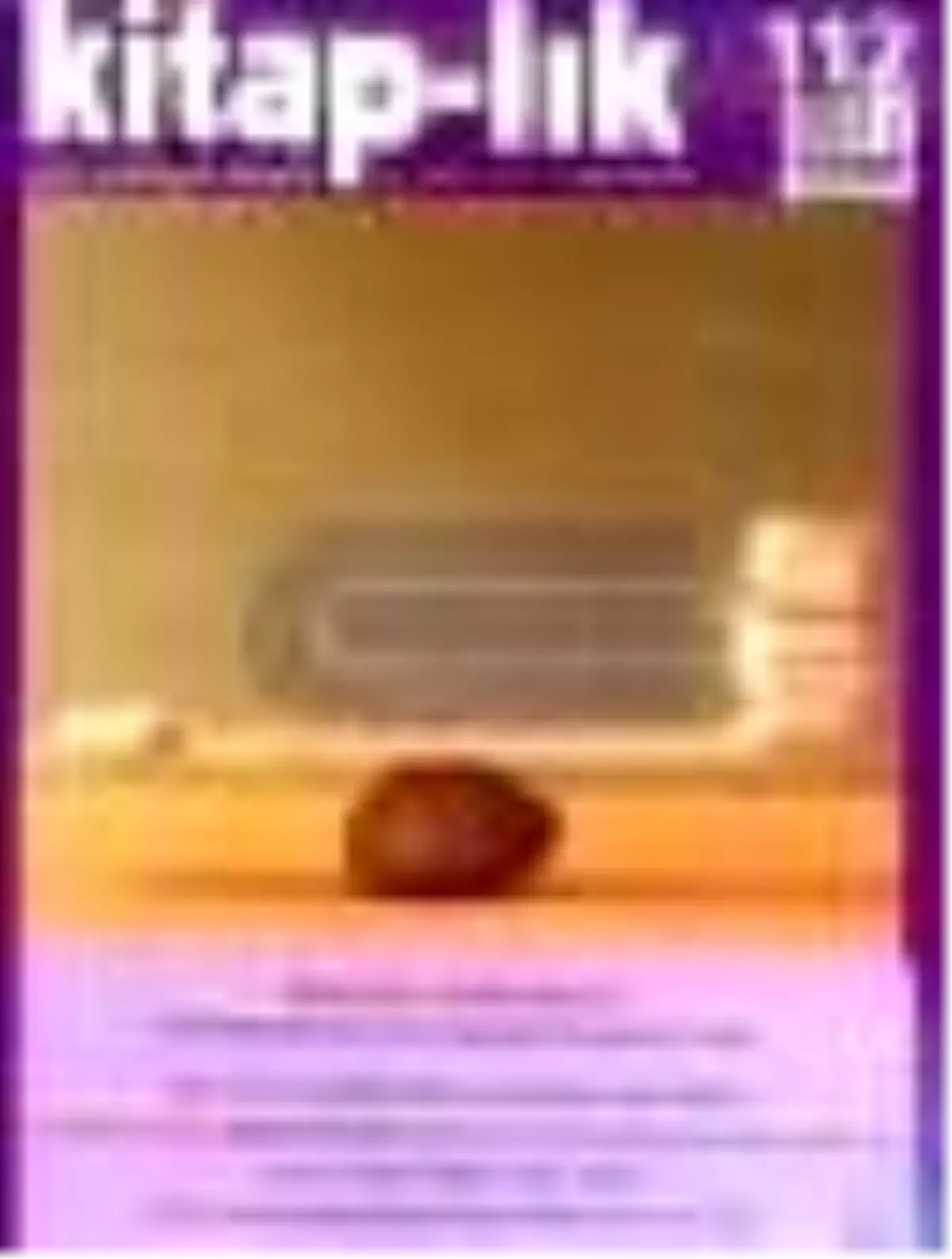 Kitap-lık Sayı: 112 Aylık Edebiyat Dergisi Kitabı