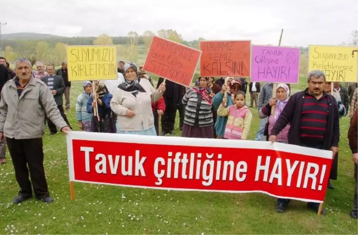 Köyde Tavuk Çiftliği Protestosu