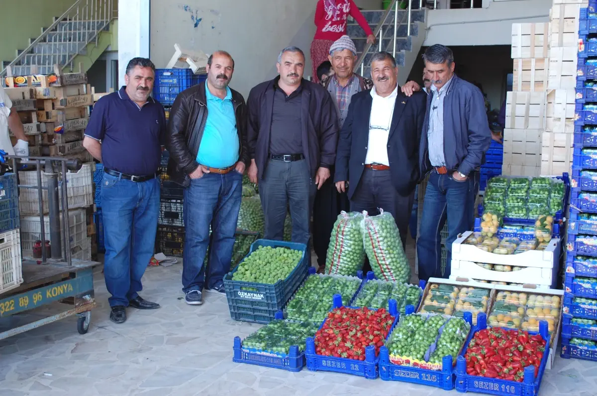 Rusya\'ya Çilek ve Domates İhracatı Başladı