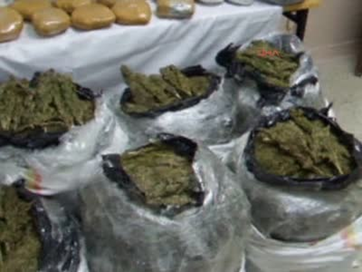 Sivas\'ta 616 Kilo Esrar Yakalandı