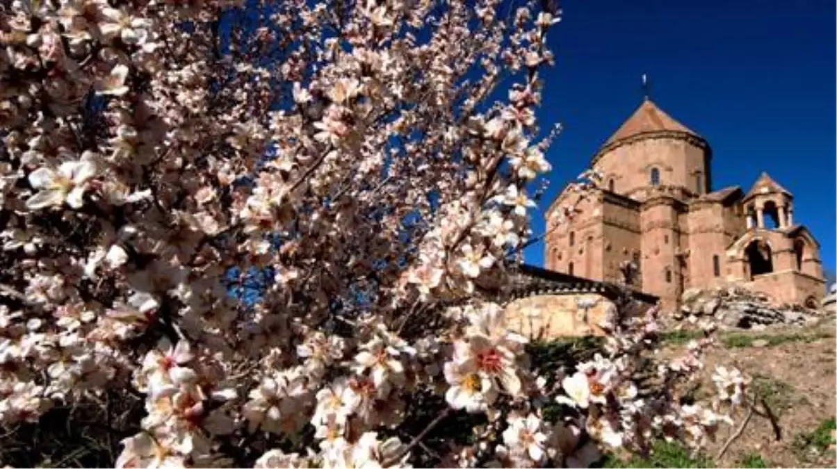 Akdamar Adası "Çiçek" Açtı