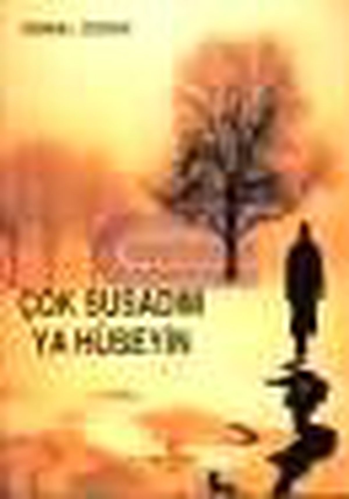 Çok Susadım ya Hüseyin Kitabı