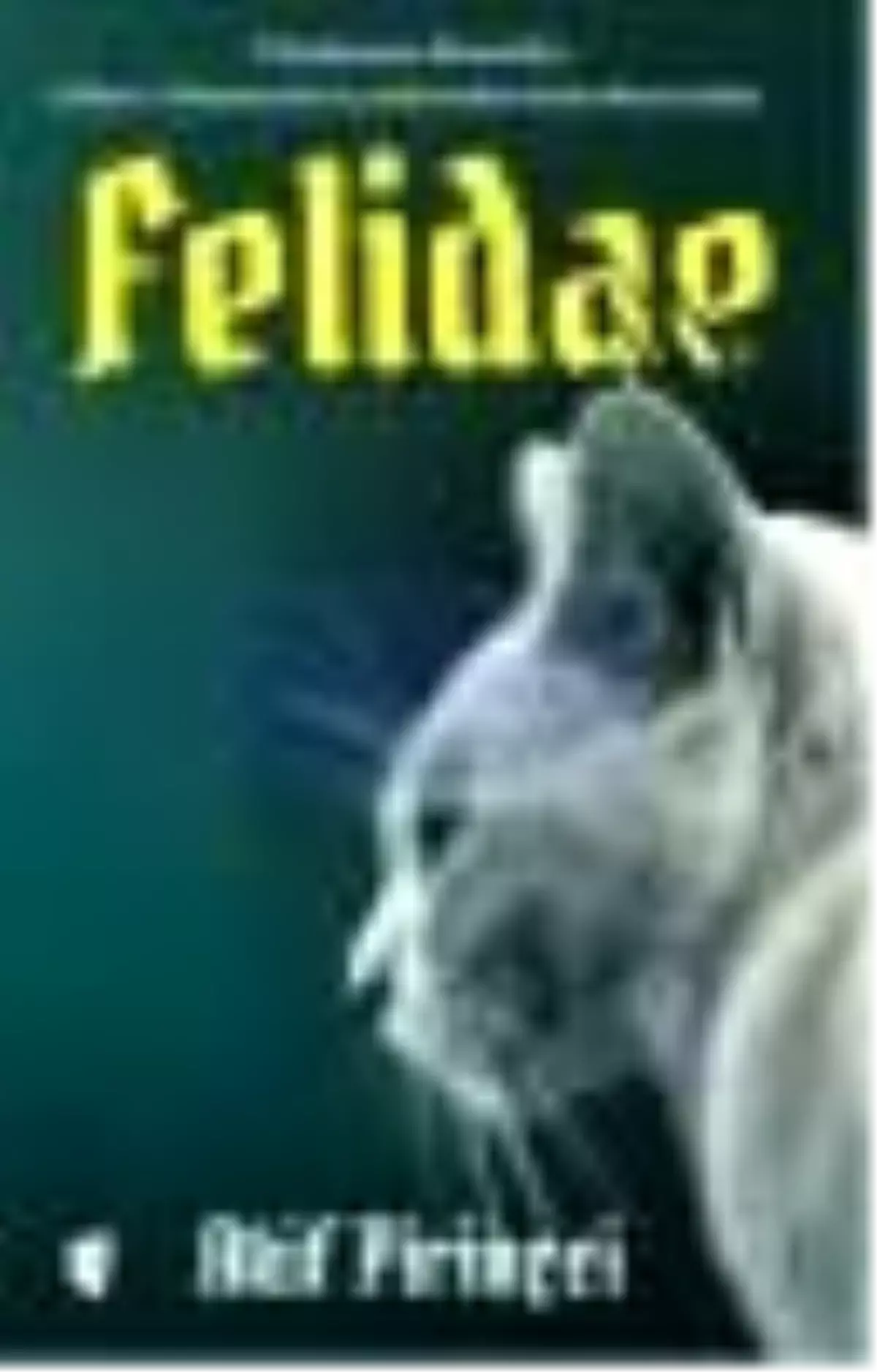 Felidae Kitabı