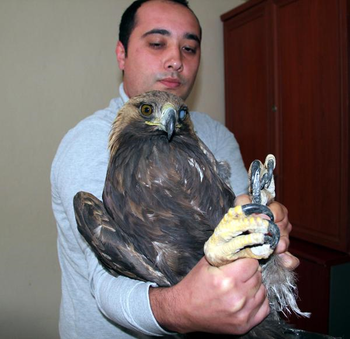 Kanadı Kırık Kartal, Gaziantep\'e Gönderildi