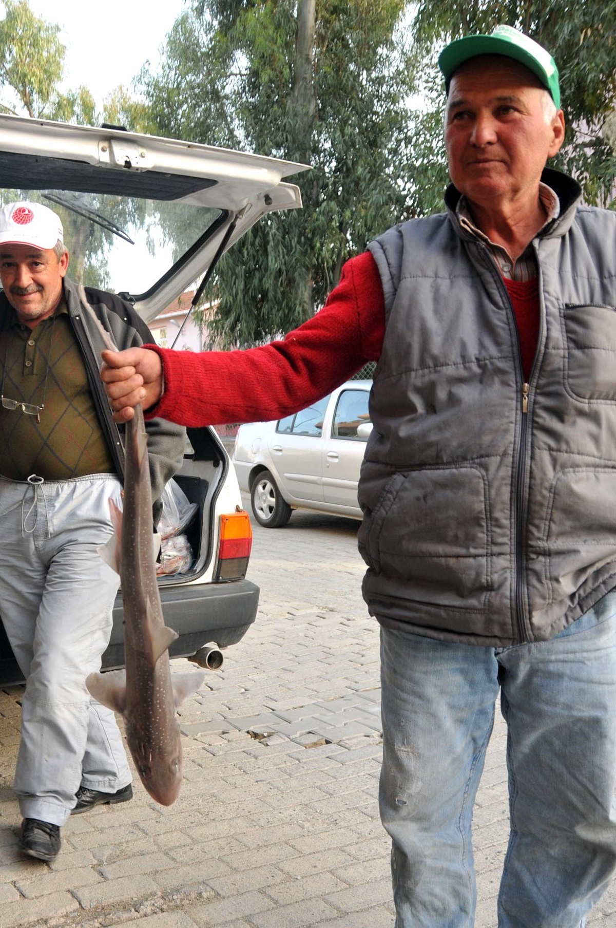 Köyceğiz Açıklarında Köpekbalığı Yakalandı