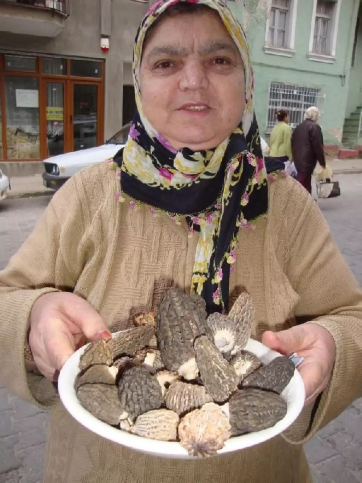 Kuzu Göbeği Mantarının Kilogramı 60 Lira Oldu