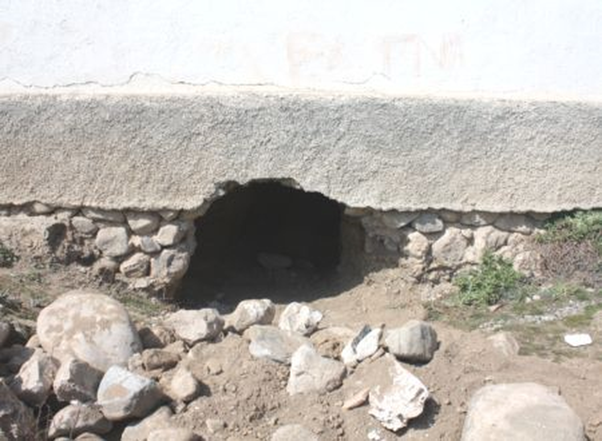 Muğla\'da Kaçak Kazı Operasyonu