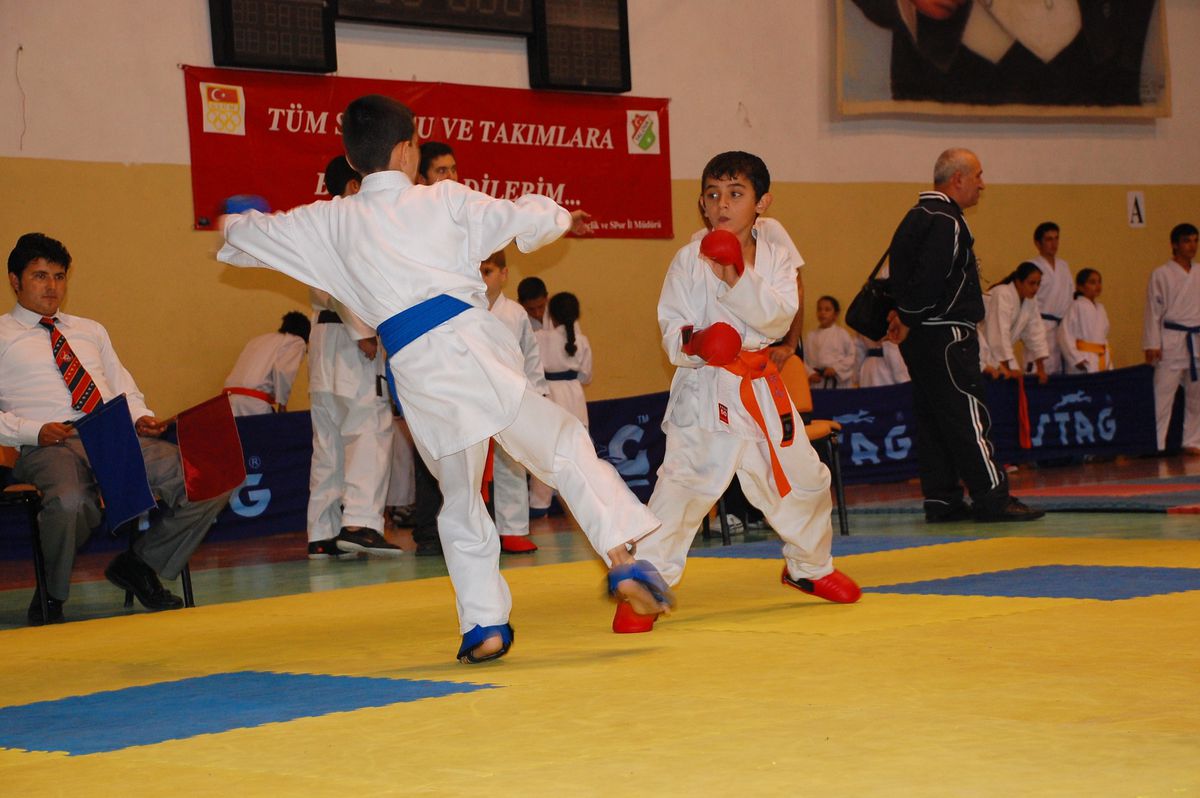 Yalova\'da Karate Şampiyonası