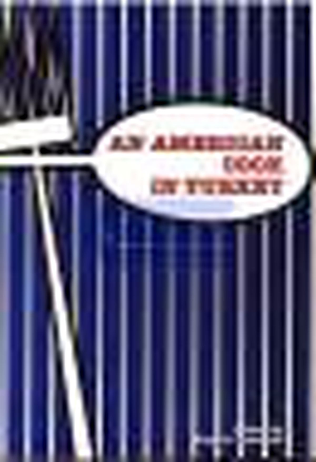 An American Cook İn Turkey Kitabı