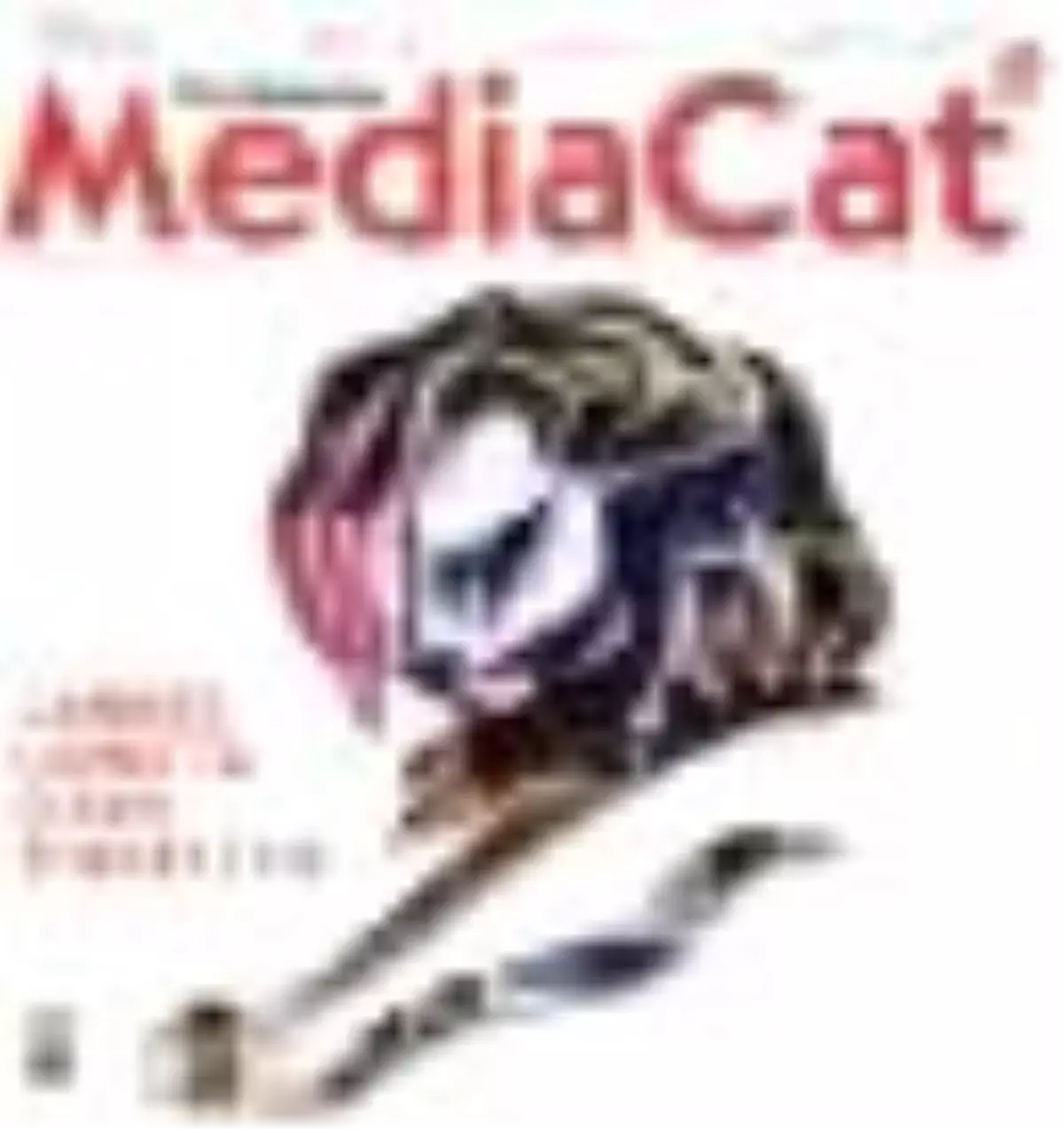 Mediacat Aylık Pazarlama İletişimi Dergisi Yıl: 20 Sayı: 210 Kitabı