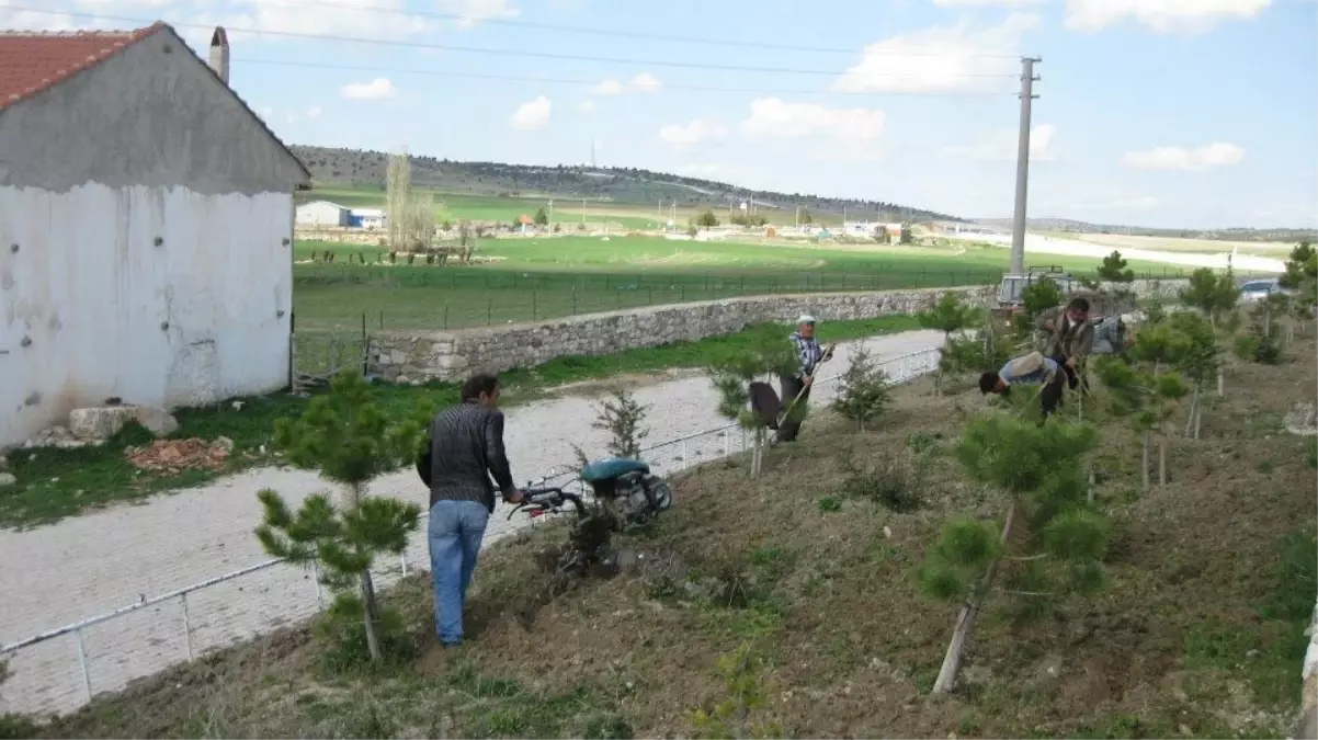 Mezarlıklarda Bahar Bakımı