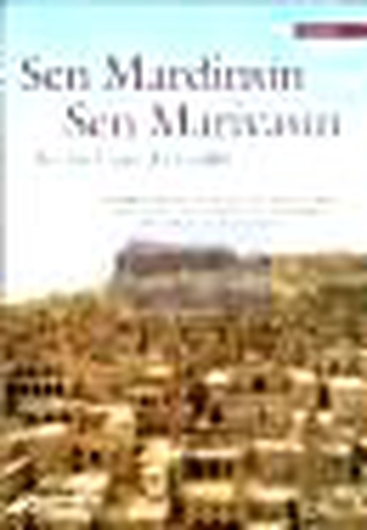 Sen Mardinsin Sen Mariyasın Kitabı