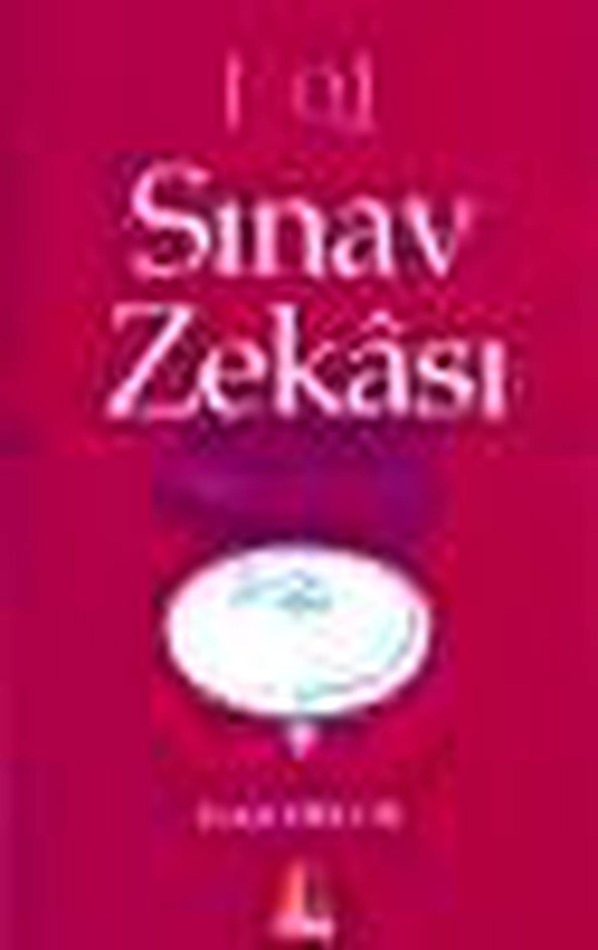 Sınav Zekası Kitabı