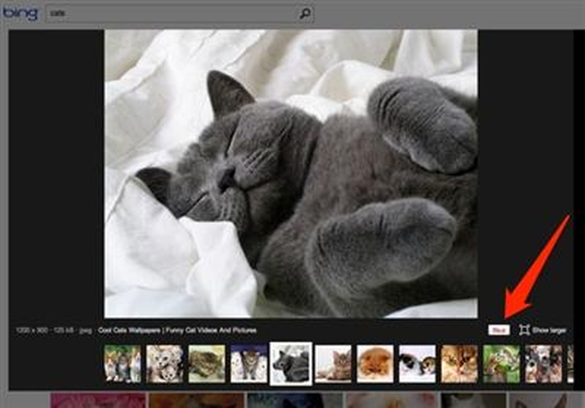 Bing, Pinterest ile Yakın İlişki İçinde