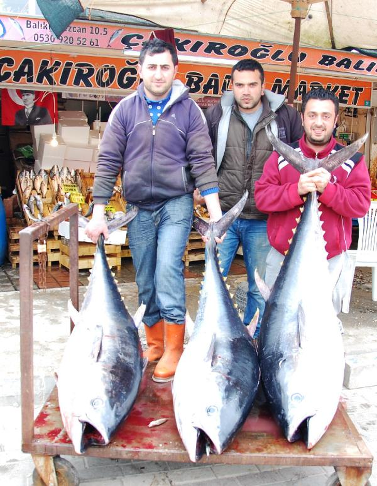 Bandırma\'da Balıkçıların Orkinos Şansı
