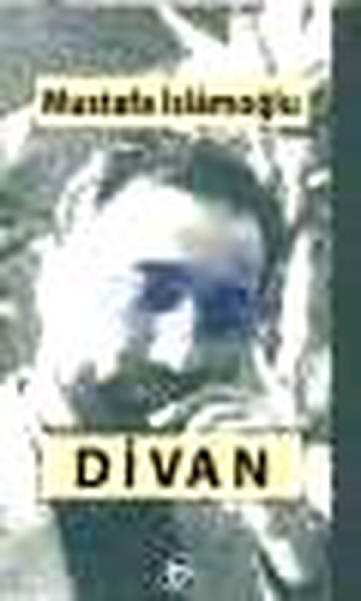 Divan Kitabı