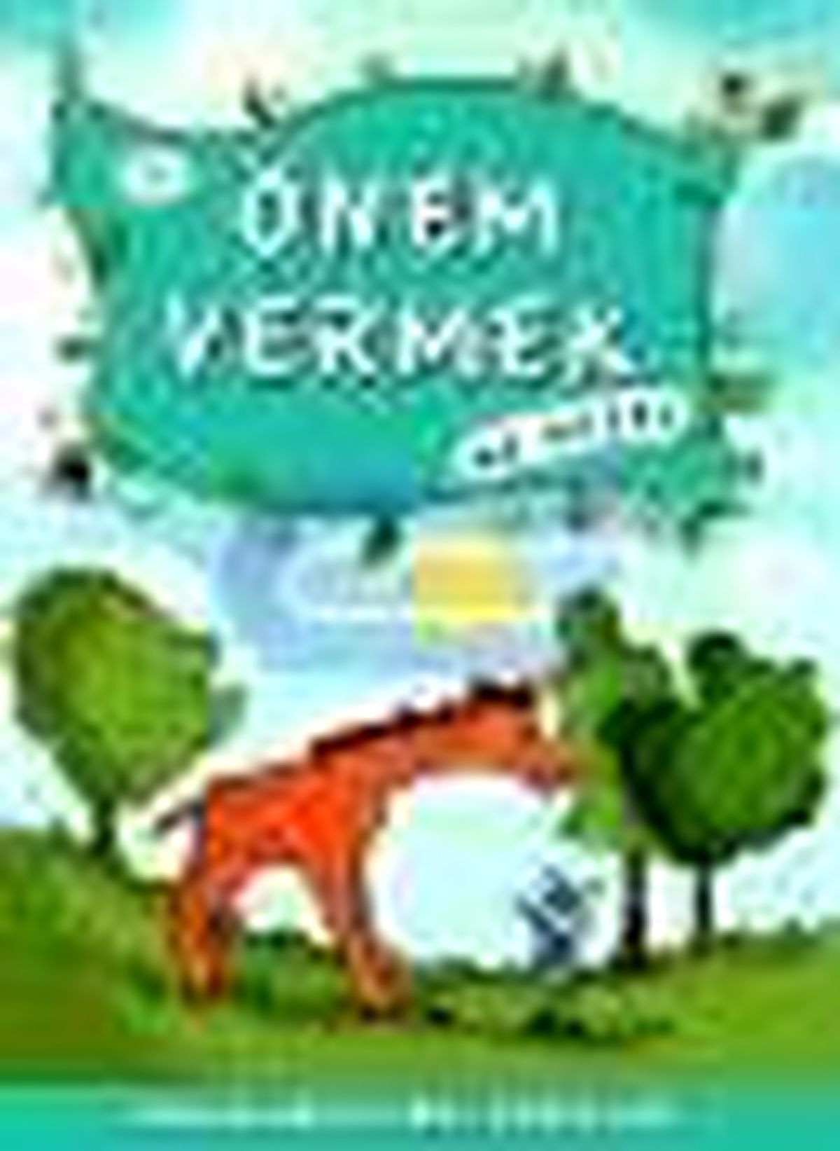 Önem Vermek Ne Güzel Kitabı