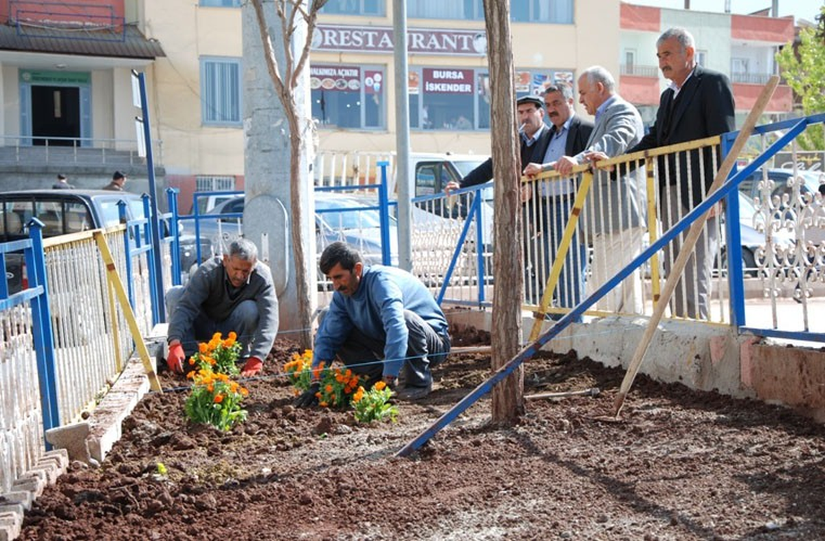 Şırnak Belediyesi\'nden Ağaçlandırma Çalışması