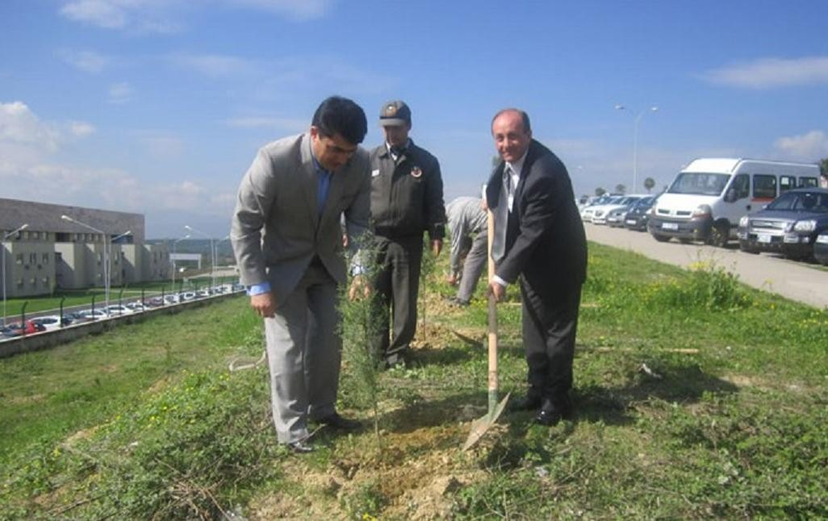 Valilik Kampüsünde Fidan Dikimi Yapıldı