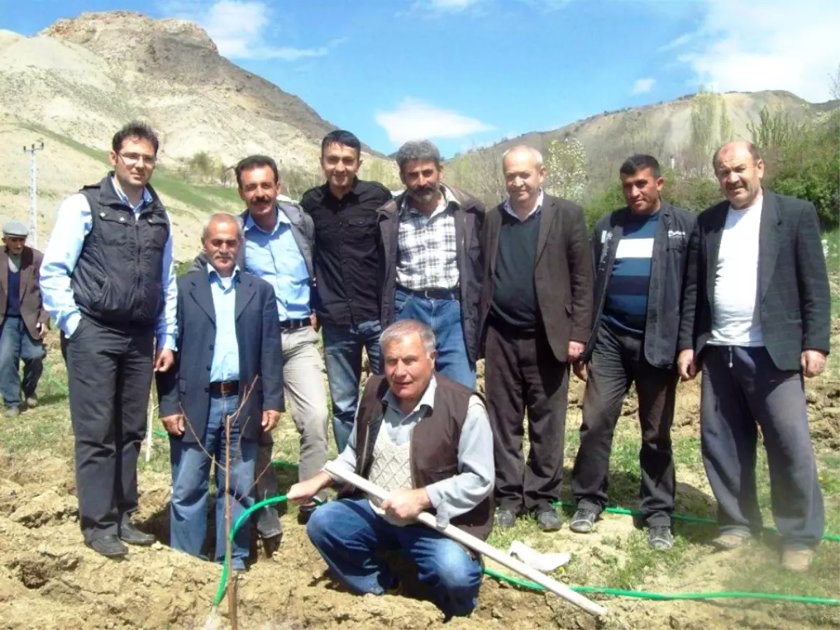 İliç\'te Kilitli Sandık Projesi\'ne Büyük İlgi