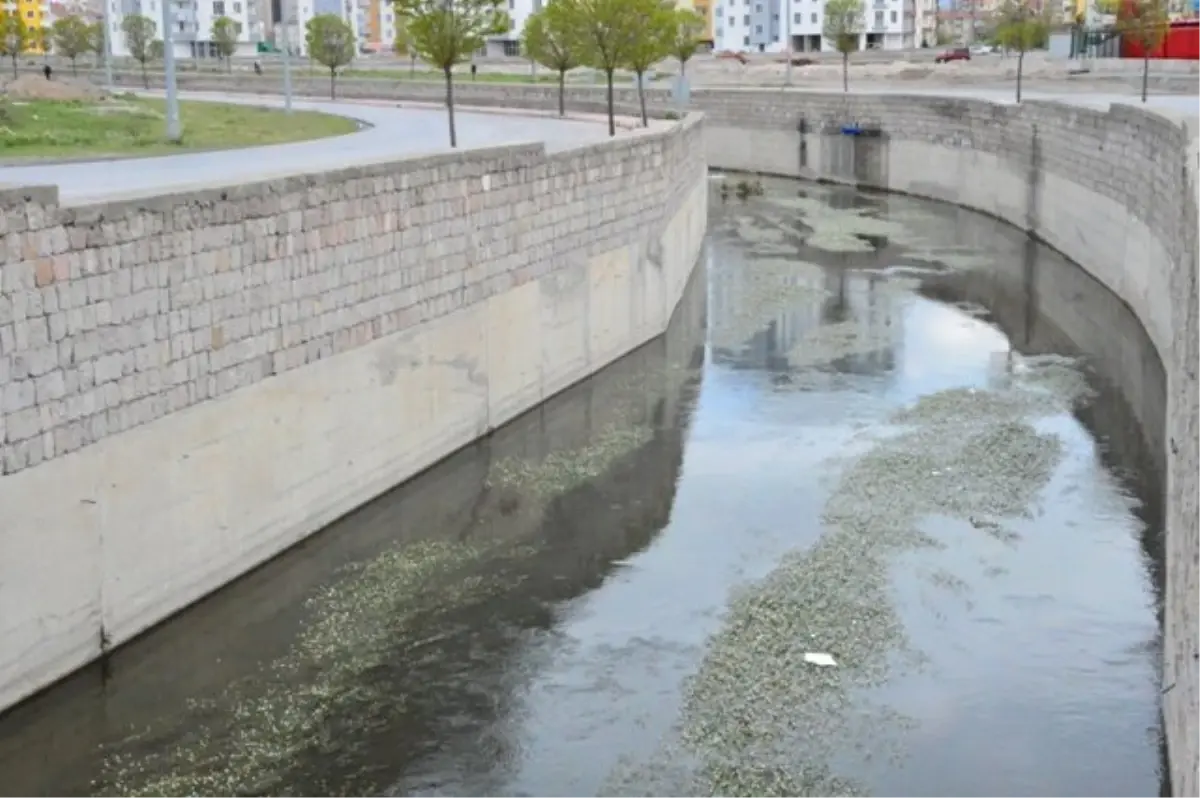 Kocasinan Taşkın Kanallarını Temizledi