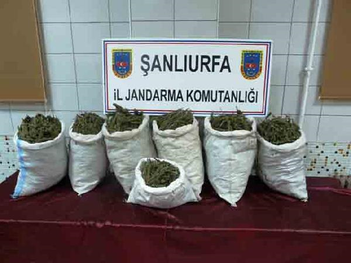 Şanlıurfa\'da 85 Kilo Esrar Ele Geçirildi