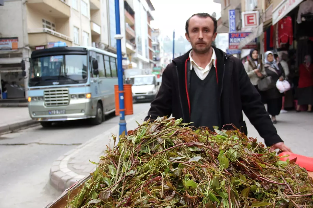 Şifa Deposu Merucen Seyyar Pazarda