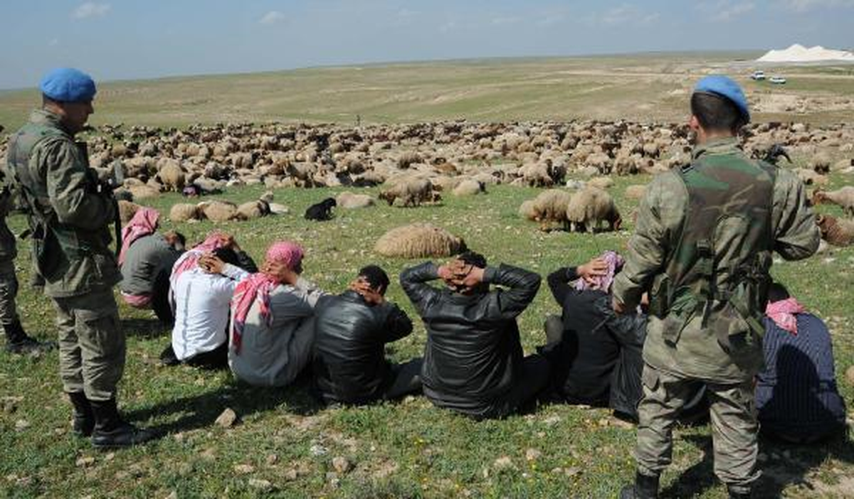 Sınırda Hayvan Kaçakçılığına 14 Tutuklama