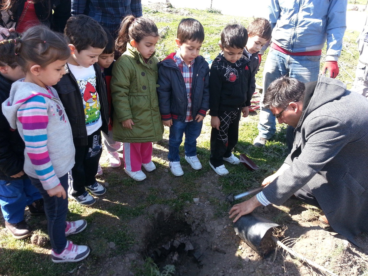 Anaokulu Öğrencileri Fidan Dikti