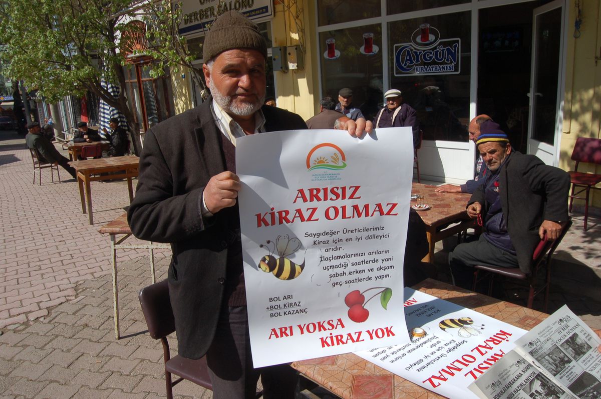 Arıcılardan Zirai İlaçlama Uyarısı