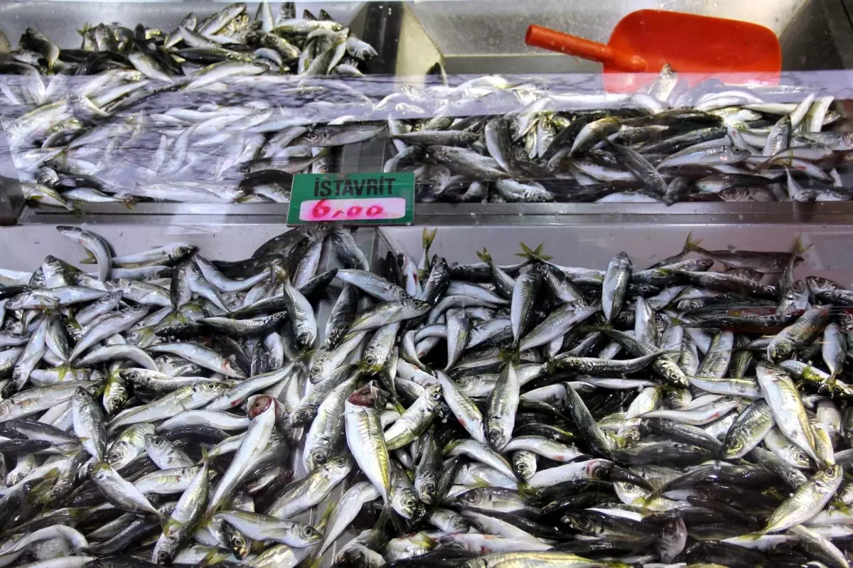 "Balık Borsası Oluşsun"