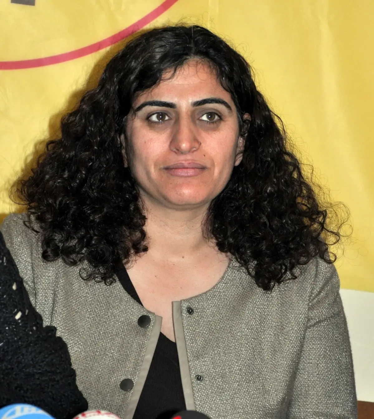 BDP Milletvekili Sebahat Tuncel Açıklaması